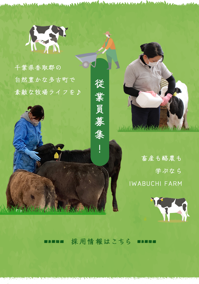 千葉県香取郡多古町『せんば牛』の畜産・酪農牧場なら岩渕牧場